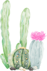 Download This Graphics Is Hand Painted Three Cactus Png Transparent Cactus Png Transparent Png Free Png Images Toppng