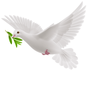 Download This Graphics Is Peace Dove Cartoon Transparent - olive tree roblox