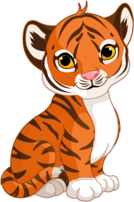 Download Tigre Dessin Png Cute Cartoon Tiger Cub Png Free Png Images Toppng