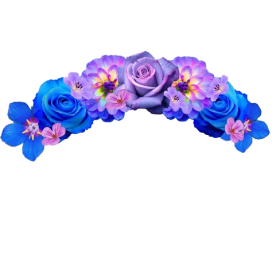Download Transparent Flower Crown Png Png Free Png Images Toppng