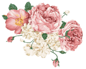 Download Transparent Flower Tumblr Png Free Png Images Toppng