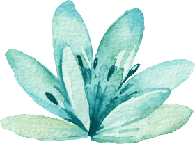 Download Download Transparent Watercolor Mint Green Blue Watercolor Flower Png Free Png Images Toppng