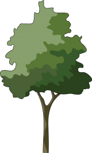 Download trees in elevation for photoshop png - Free PNG Images | TOPpng