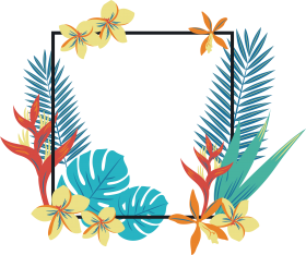 Download Tropics Geometry Quadrilateral Clip Art Tropical Flowers Border Png Free Png Images Toppng