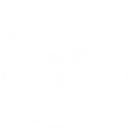 Download Twitter White Icon Social Media Icon Png And Vector Twitter App Icon 17 Png Free Png Images Toppng