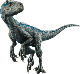 Download Velociraptor Jurassic World El Reino Caido Dinosaurios Png Free Png Images Toppng