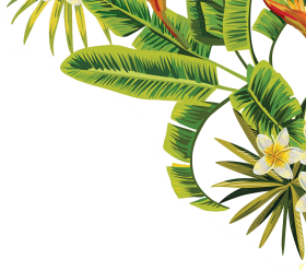 Download visit - transparent tropical leaves png - Free PNG Images | TOPpng