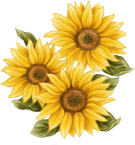 Download Watercolor Sunflower Png Svg Library Download - Watercolor ...