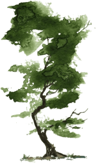 Download Watercolor Tree Png Free Png Images Toppng