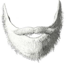 Download White Beard Png Png Transparent Santa Beard Png Free Png Images Toppng