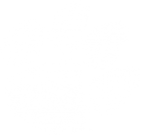Download Download White Clemson Paw Png Free Png Images Toppng