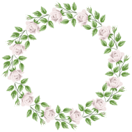 download white rose border frame png free png images toppng toppng