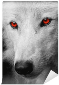white wolf with red eyes anime