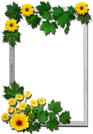Download Written By Dreamland In Frames Rectangular Flowers Yellow Flower Frame Png Free Png Images Toppng