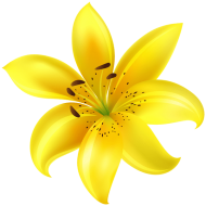Download yellow flower png - Free PNG Images | TOPpng