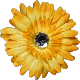 Download Yellow Flower 2 月 8 日 誕生 花 Png Free Png Images Toppng