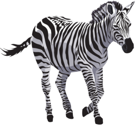 Download zebra png - Free PNG Images | TOPpng