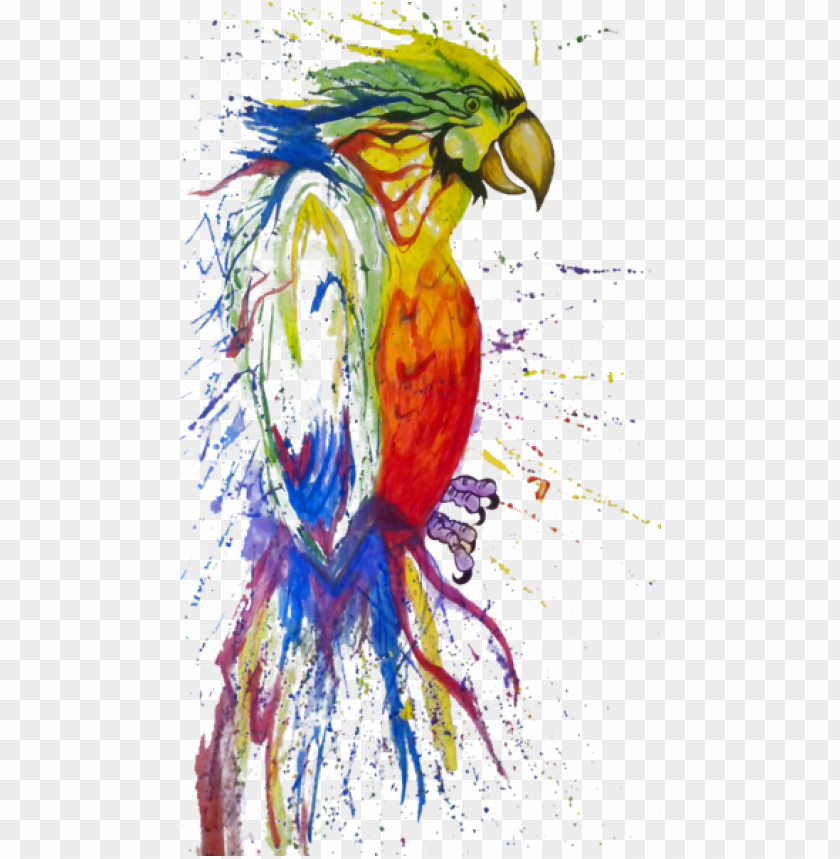 fabric texture, fabric, parrot, pirate parrot, watercolor circle, phoenix bird