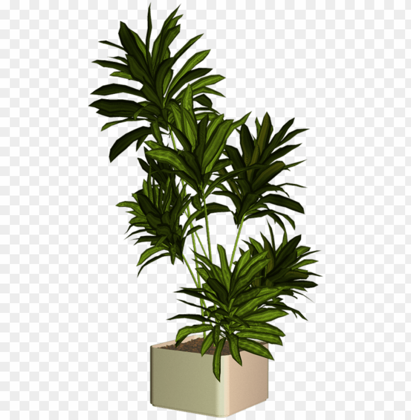 Plantas Para Render PNG Transparent With Clear Background ID 272969
