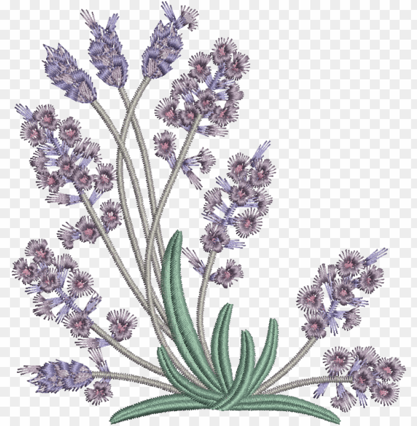 free PNG 05 - lavender - embroidery pattern lavender flowers PNG image with transparent background PNG images transparent