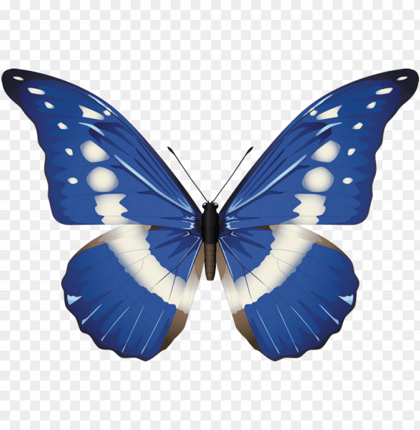 free PNG ‿✿⁀°butterflies°‿✿⁀ - transparent background butterflies PNG image with transparent background PNG images transparent