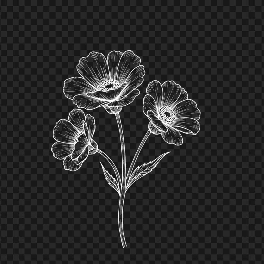 Floral White Outline Flower PNG Transparent Background