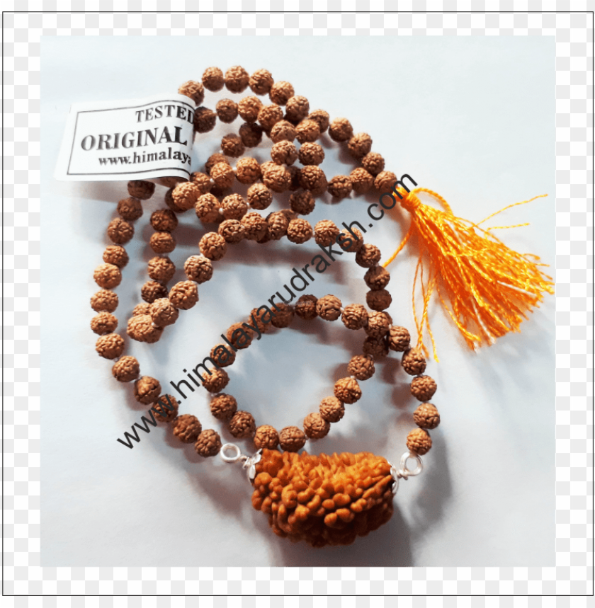 free PNG 1 mukhi rudraksh mala for wearing purpose 108 1 beads - bead PNG image with transparent background PNG images transparent
