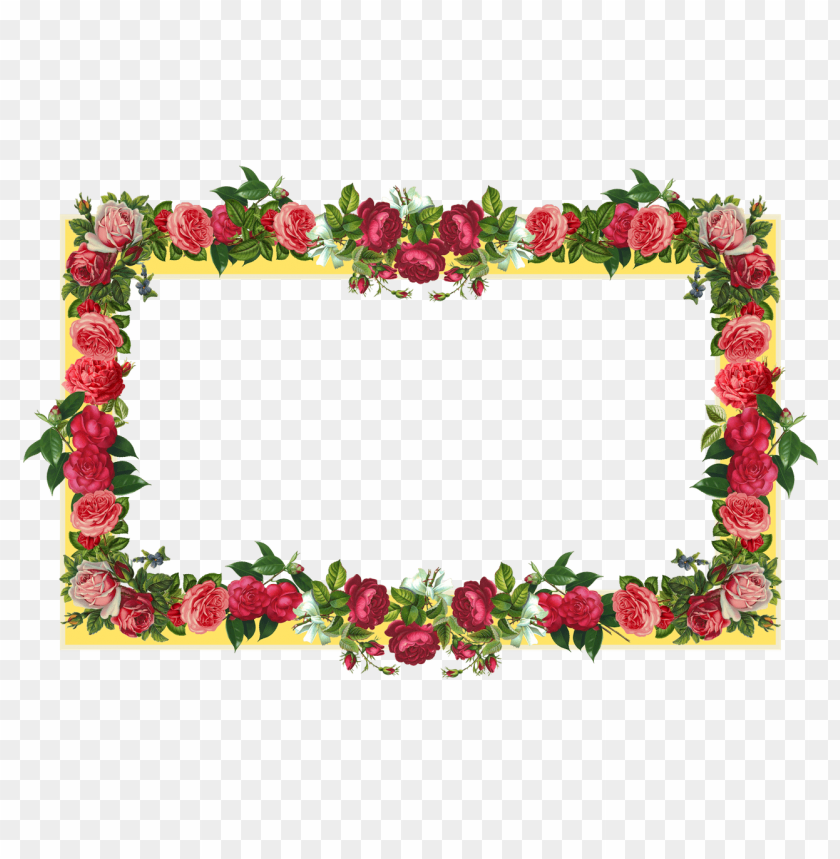 flowers, borders, png, images