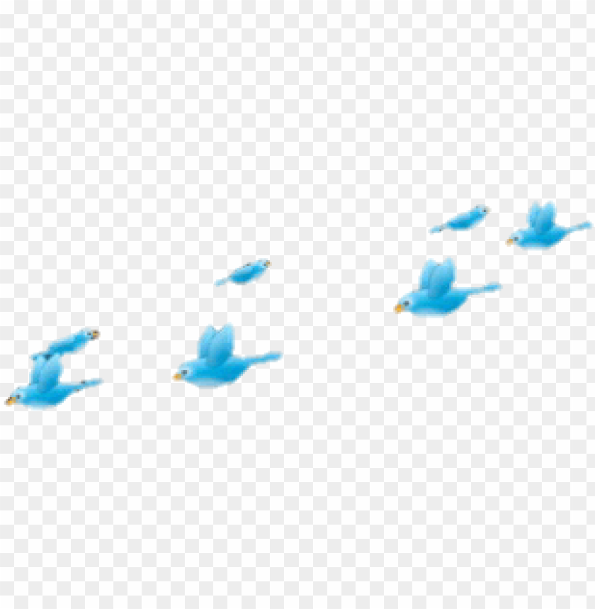 10 - blue bird picsart PNG image with transparent background | TOPpng