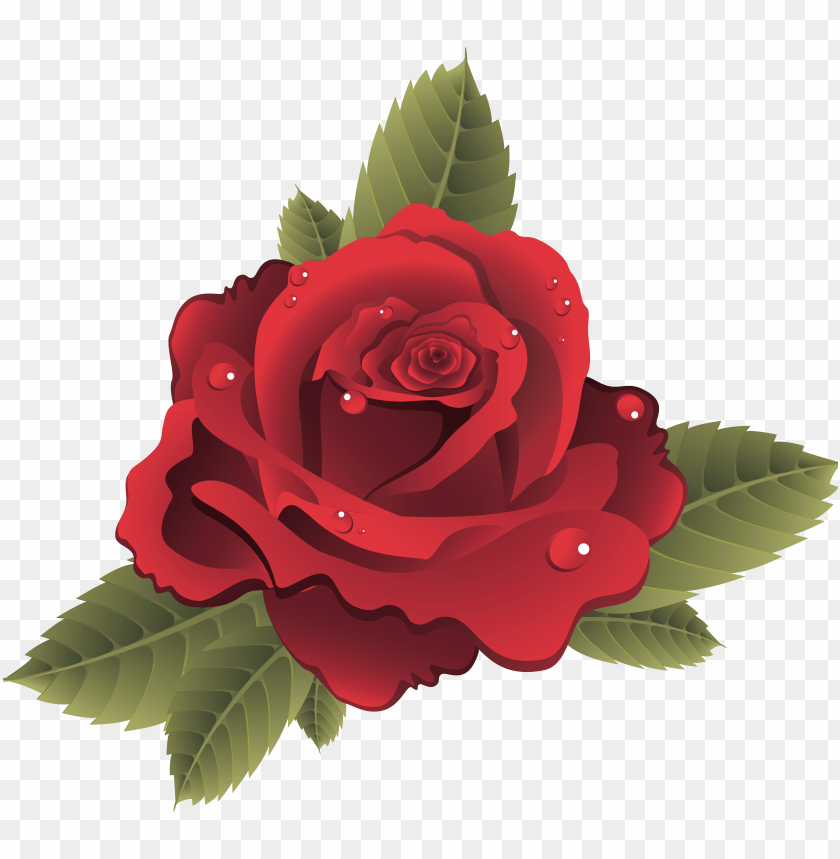 free PNG 10 roses vector png files images flower vector graphics - roses vector PNG image with transparent background PNG images transparent
