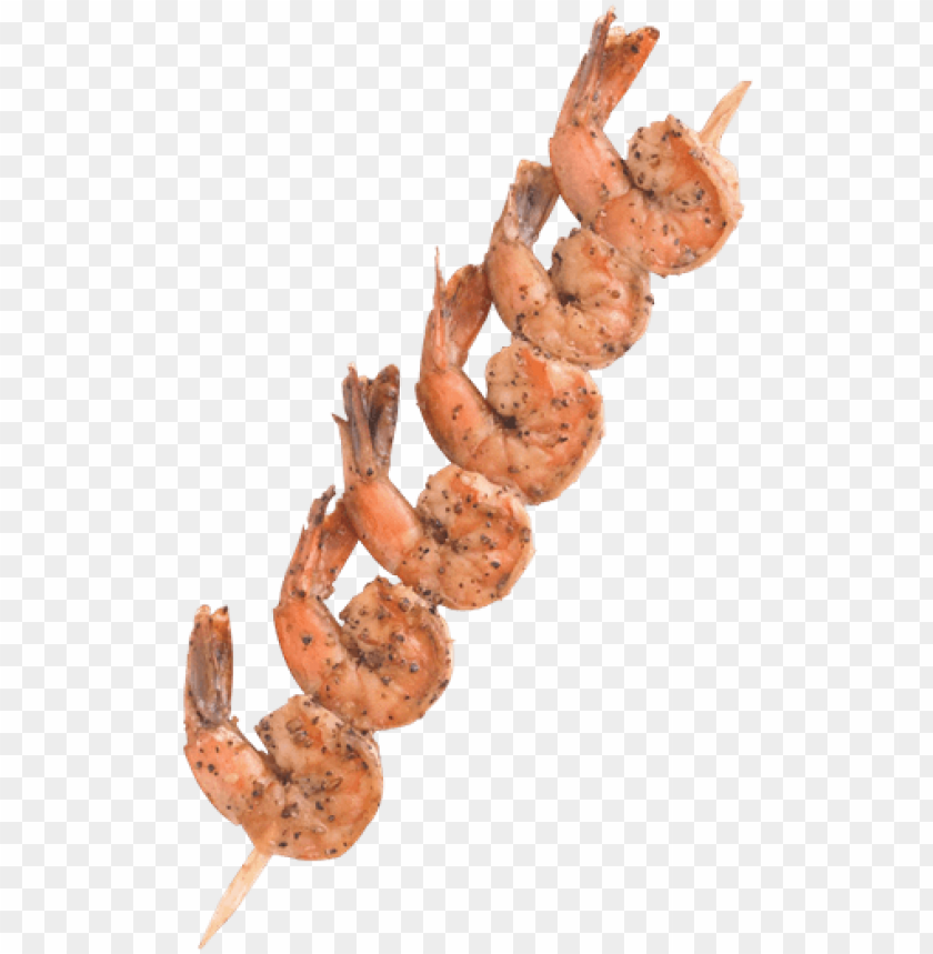 100 Natural Cooked Shrimp Skewers 3oz Connecticut PNG Image With Transparent Background