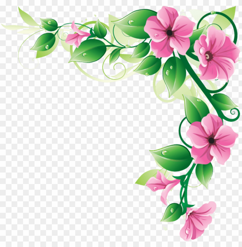 flowers, borders, png, image