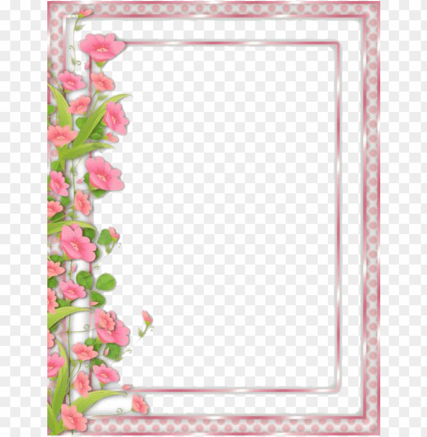flowers, borders, png, picture