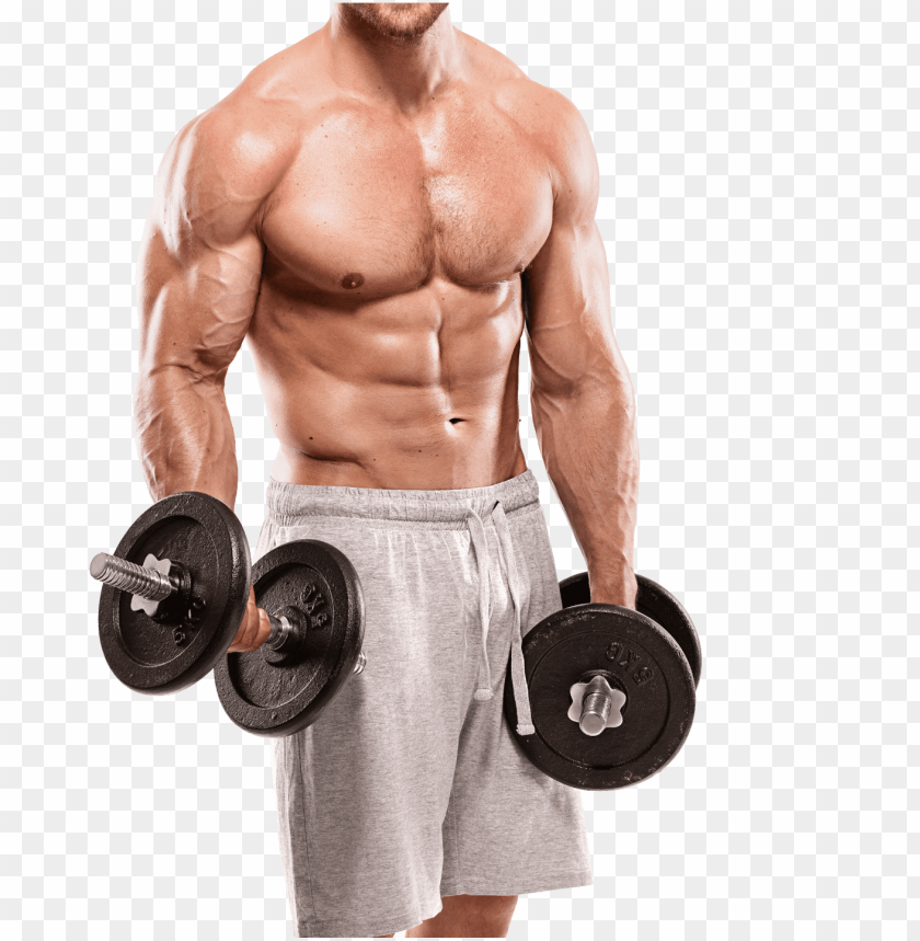 1255 X 1433 8 Gym Workout Png Image With Transparent