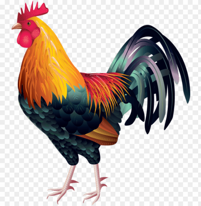 13 Rooster Vector Free Download Png Image With Transparent Background Toppng