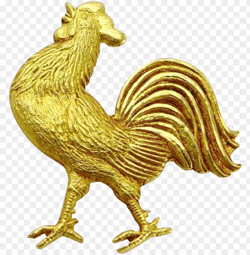 golden, background, set, stand by, game, gps, rooster silhouette