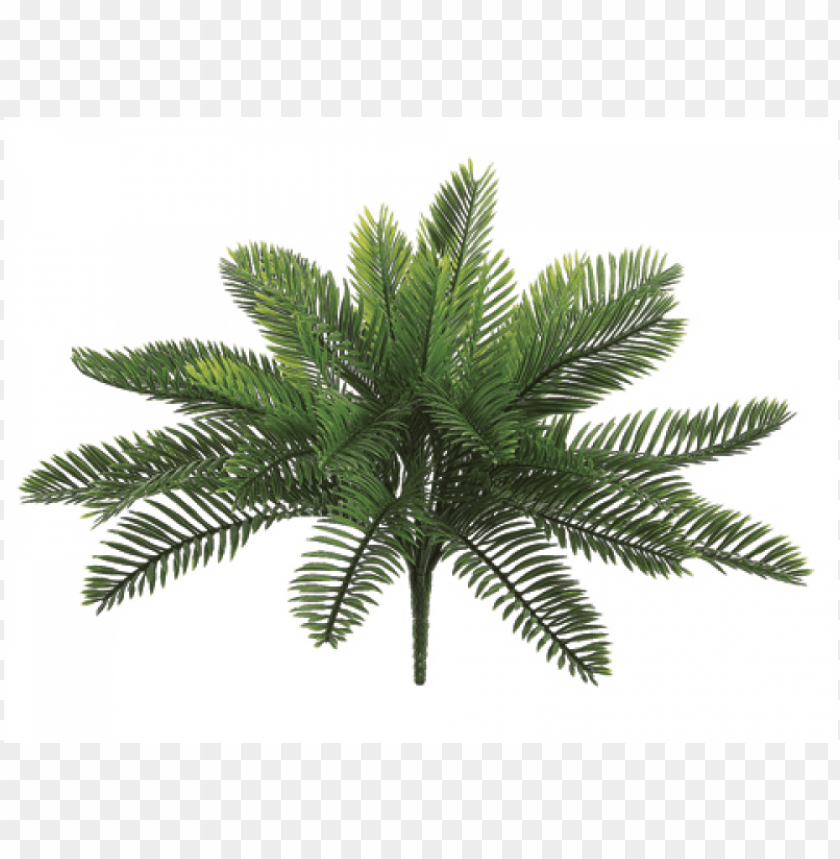 18 Inch Plastic Cycas Palm Bush With 30 Leaves Green Silk Plants Direct Cycas Palm Plant Green Pack PNG Image With Transparent Background@toppng.com
