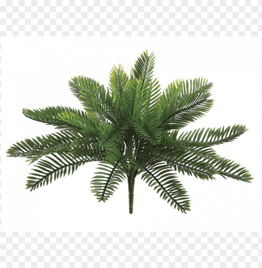 18 inch plastic cycas palm bush with 30 leaves green silk plants direct cycas palm plant green pack PNG transparent with Clear Background ID 171566