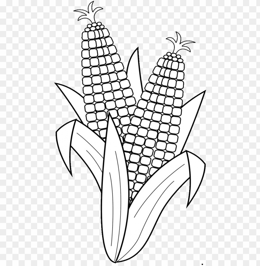 19 Corn Clip Black And White Drawing Huge Freebie Download - Fruits And Vegetables Clipart Black And White PNG Image With Transparent Background