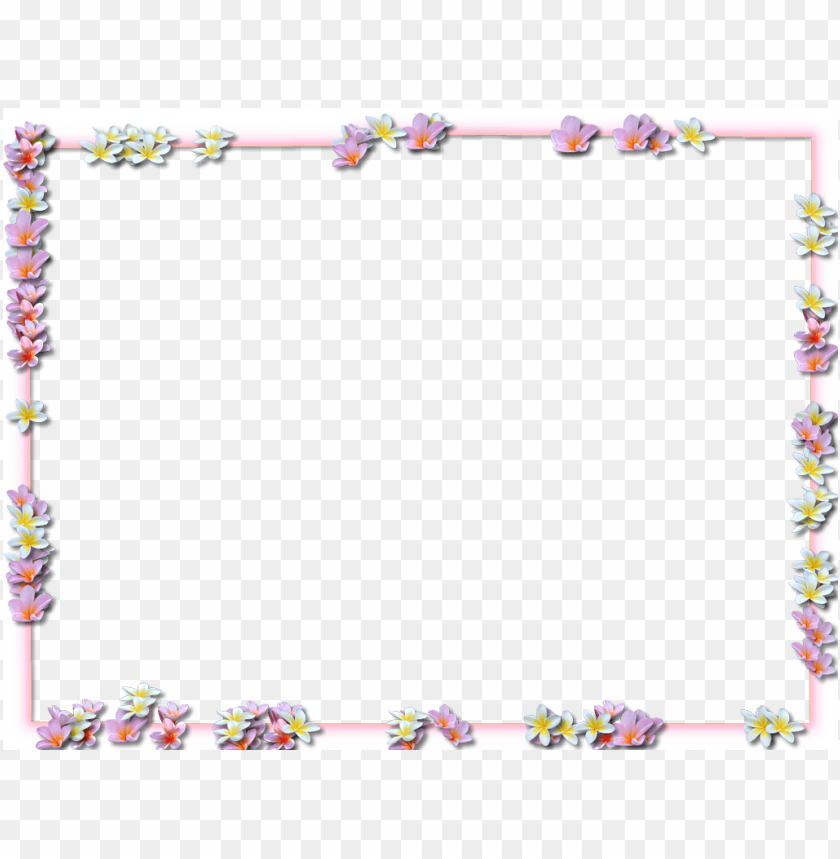 flowers, borders, png, pic