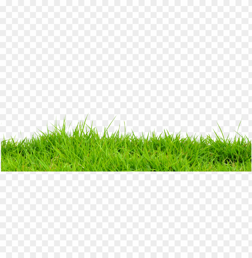 2016 teamscaping inc - cb edit grass PNG image with transparent background  | TOPpng