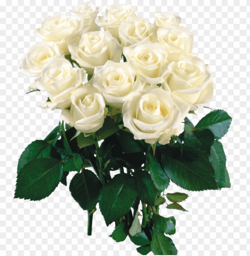2444 X - Beautiful Flowers Roses White PNG Image With Transparent ...