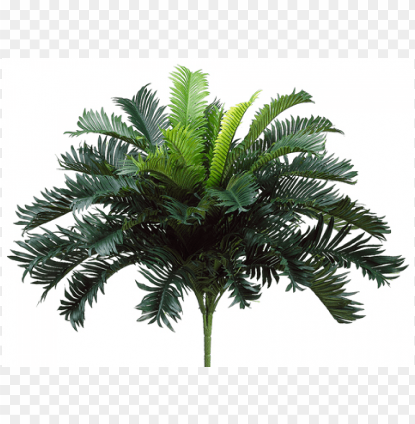 25" cycas palm bush x35 - 25" artificial cycas palm bush PNG image with transparent background@toppng.com