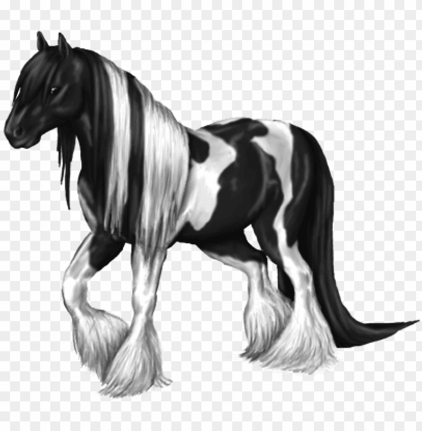 28 collection of gypsy vanner horse drawing gypsy horse PNG transparent with Clear Background ID 287786