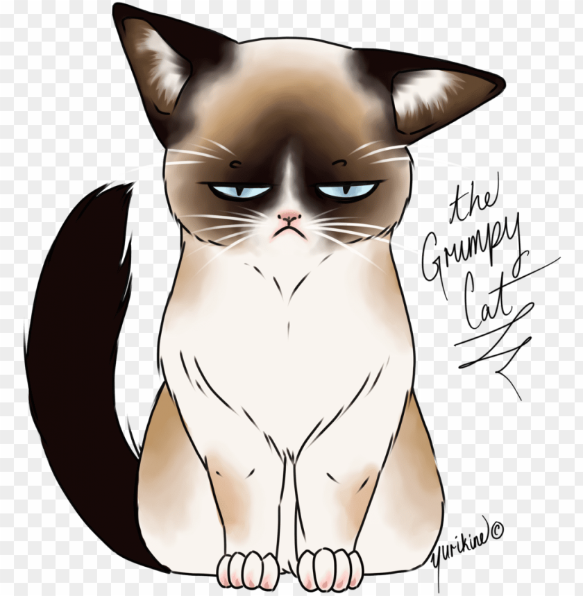 free PNG 28 collection of kawaii grumpy cat drawing - png transparent grumpy cat drawi PNG image with transparent background PNG images transparent