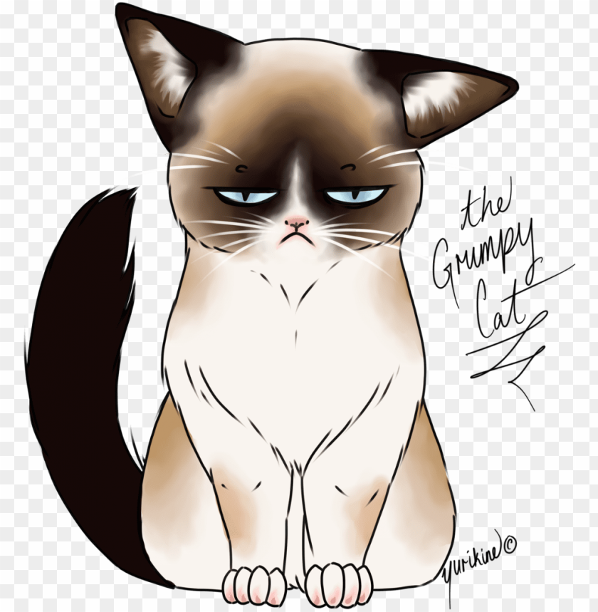 28 Collection Of Kawaii Grumpy Cat Drawing - Grumpy Cat Drawi PNG Transparent Background