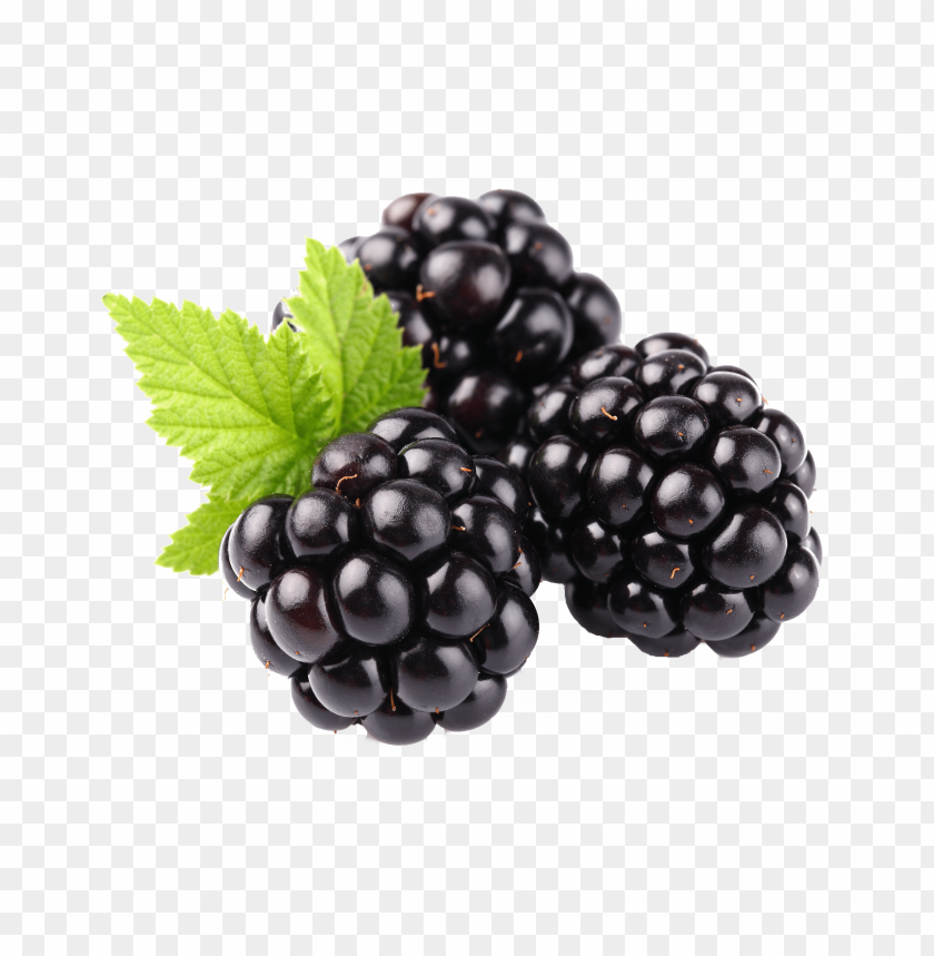 
blackberry
, 
blackberrys
, 
fruit
, 
leaf
, 
frontal
