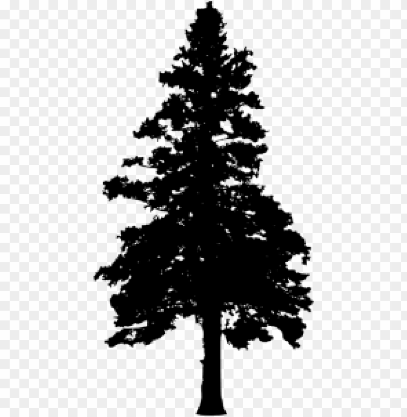 30 Pine Tree Silhouette Vol Pine Trees Transparent Background Png Image With Transparent Background Toppng