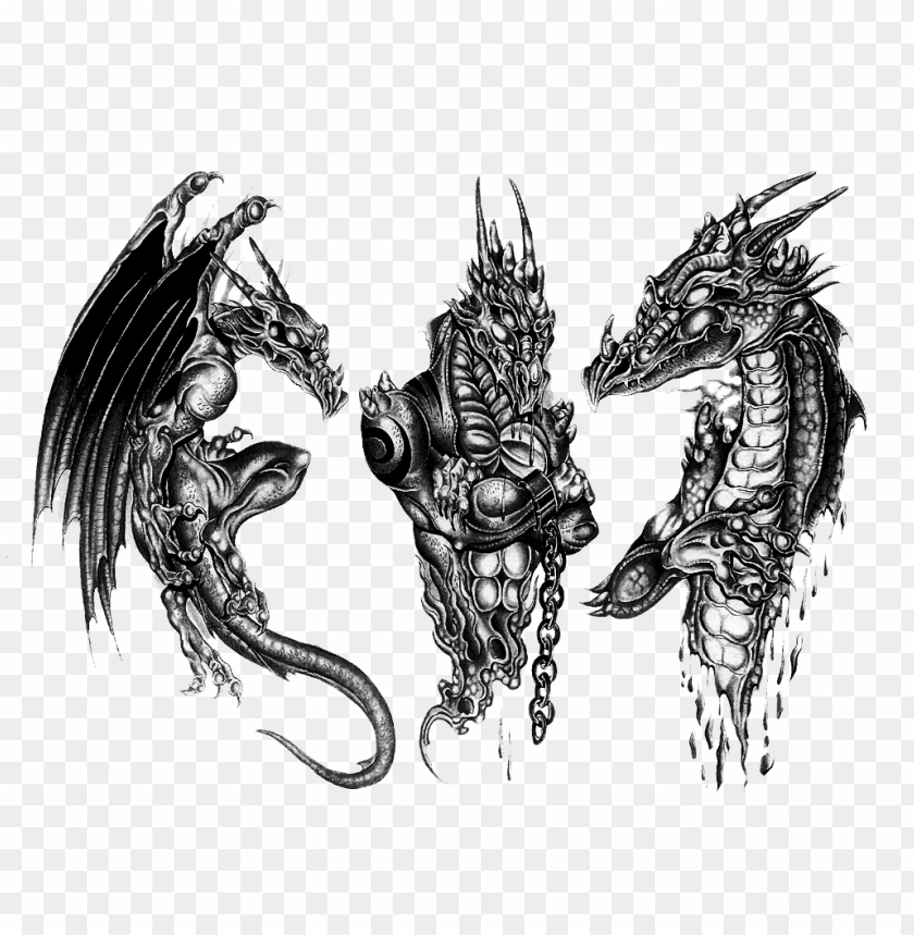 3d black dragon tattoo PNG image with transparent background | TOPpng