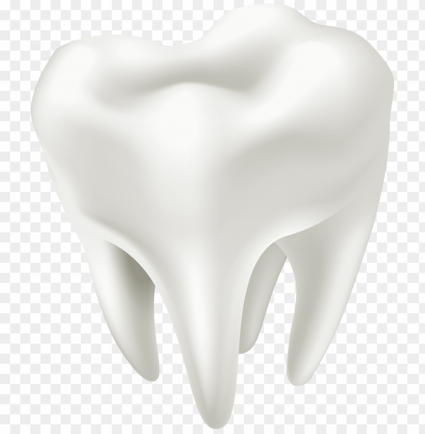 3d, tooth, white